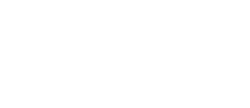 Diversified Capital Solution Logo